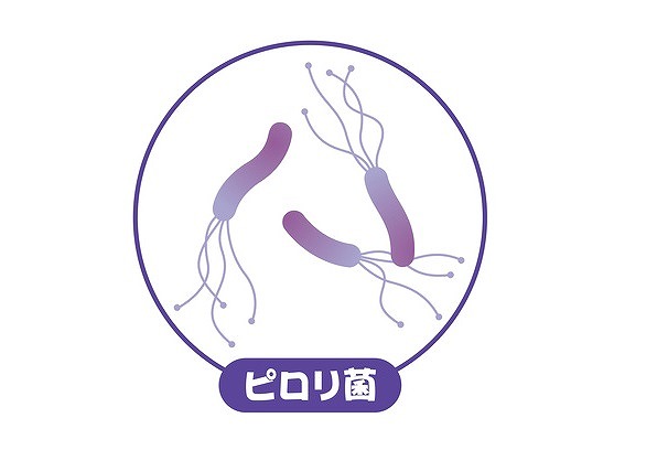 ピロリ菌(ヘリコバクター・ピロリ)感染症について