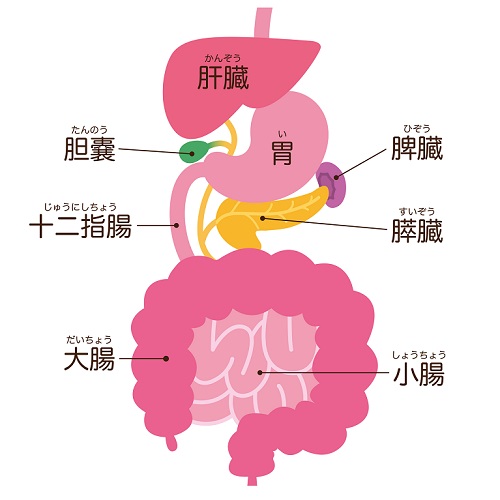 黄疸の原因