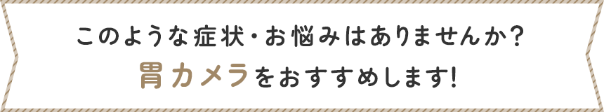 このような症状・お悩みはありませんか？胃カメラをおすすめします！