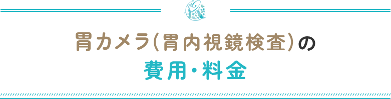 胃カメラ(胃内視鏡検査)の費用・料金