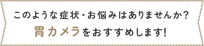 このような症状・お悩みはありませんか？胃カメラをおすすめします！