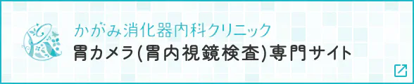 かがみ消化器内科クリニック 胃カメラ(胃内視鏡検査)専門サイト