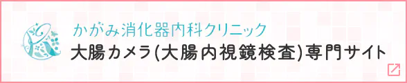 かがみ消化器内科クリニック 大腸内視鏡検査専門サイト