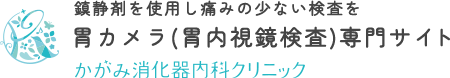 鎮静剤を使用し痛みの少ない検査を胃カメラ(胃内視鏡検査)専門サイト かがみ消化器内科クリニック