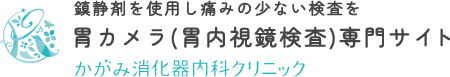 鎮静剤を使用し痛みの少ない検査を胃カメラ(胃内視鏡検査)専門サイトかがみ消化器内科クリニック