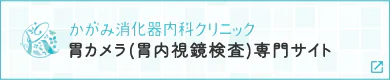 胃カメラ(胃内視鏡検査)専門サイト