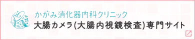 大腸カメラ(大腸内視鏡検査)専門サイト