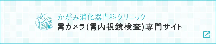 胃カメラ(胃内視鏡検査)専門サイト