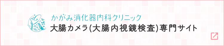 大腸カメラ(大腸内視鏡検査)専門サイト