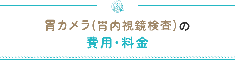 胃カメラ(胃内視鏡検査)の費用・料金