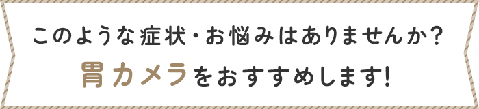 このような症状・お悩みはありませんか？胃カメラをおすすめします！