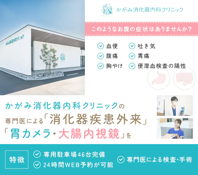 お腹の症状にお悩みの方へ かがみ消化器内科クリニックの専門医による「消化器疾患外来」「胃カメラ・大腸内視鏡検査」を